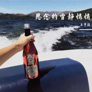 思念的雪静悄悄