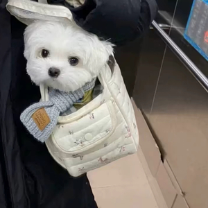 3977（翻自 李京泽）