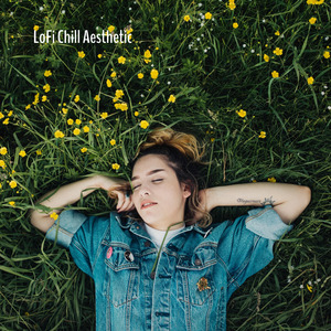 Lofi Chill Aesthetic