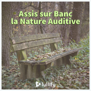 Sons doux de la forêt