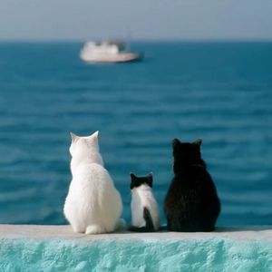 每天醒来_海青天落