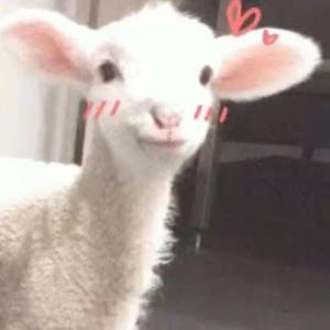 不是因为寂寞才想你