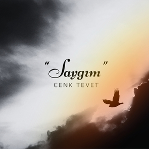 Şifa İstemem
