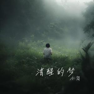 清醒的梦 (小筒 Remix)