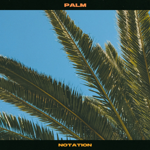 Palm