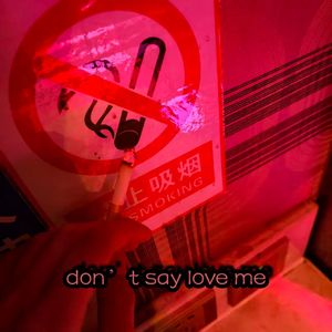 don’t say love me