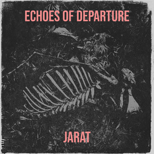 Echoes of Departure