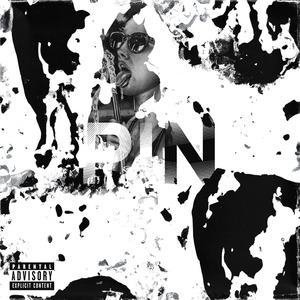 Pin