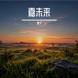 嘉未来
