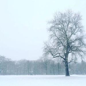 等你到冬天（男声版）