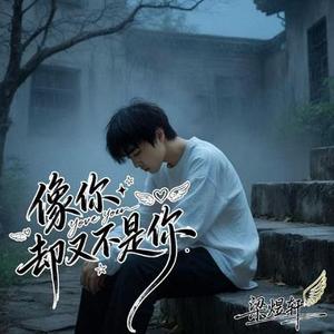 像你却又不是你