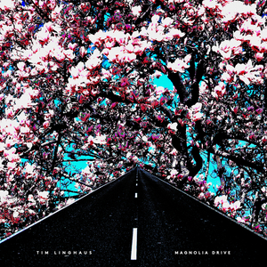 Magnolia Drive