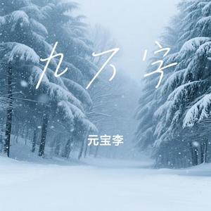 九万字 (元宝李 Remix)