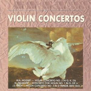 Concerto for 2 Violins in D Minor, BWV 1043: III. Allegro