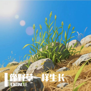 像野草一样生长