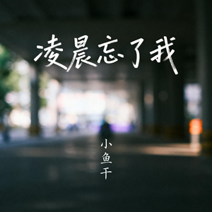 凌晨忘了我