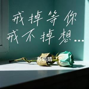 戒掉等你戒不掉想你