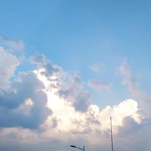 于盛夏之中绽放