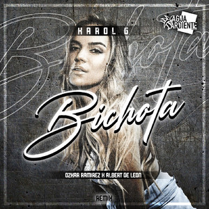Bichota (Remix)