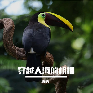 穿越人海的相拥