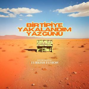 Bir Tipiye Yakalandım Yaz Günü (Instrumental Turkish Fusion)