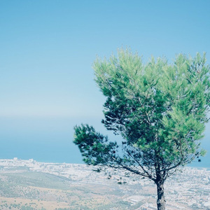 远在北方孤独的鬼（Cover 花粥）