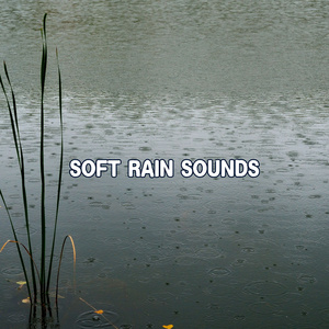 Rainy Day Rhapsody: A musical and harmonious soundscape of rain.