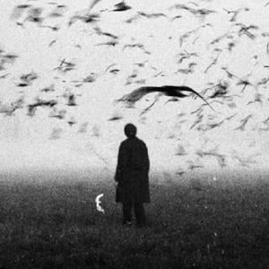 夙愿（你是我的一分之一）