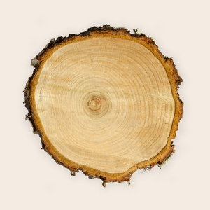 El foc i les onades (En directe)