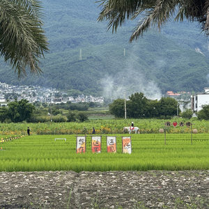 我想要记住你