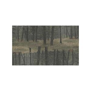 Harrison (feat. Rachael Cardiello)