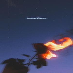 Burning Flowers