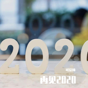 再见2020