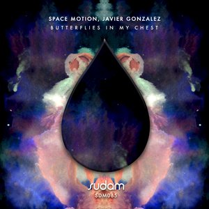 Butterflies In My Chest (Original Mix)