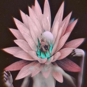 hallucination
