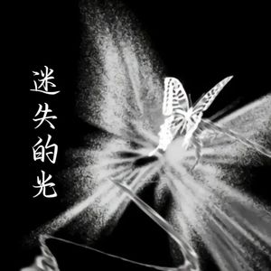 迷失的光