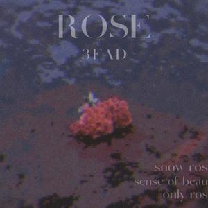 ONLY ROSE（唯一的玫瑰）