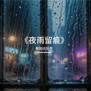 《夜雨留痕》