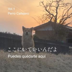 ここにいていいんだよ（Pueds quédarte aquí）