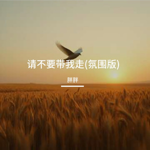 请不要带我走(氛围版)