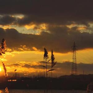 奢求世界停止转动