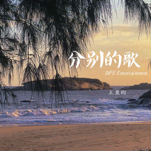分别的歌