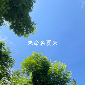 未命名夏天