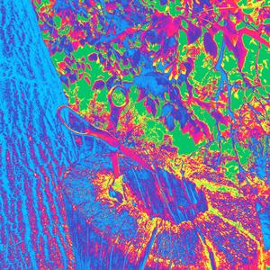 need lugude nimed on nõmedad