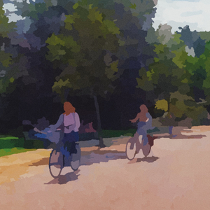 bicycles in the park