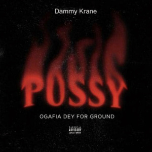 PUSSY ( OGBAFIA DEY FOR GROUND )