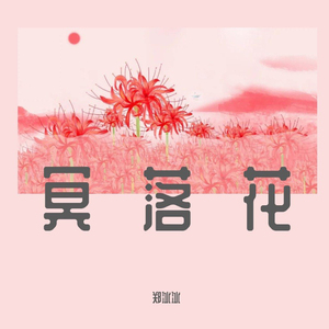 冥落花 (DJ小波版)