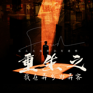 重生之我在异乡为异客 (怎么去选都会有遗憾)