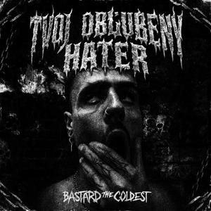 Tvoj obľubený hater