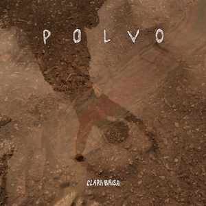 Polvo